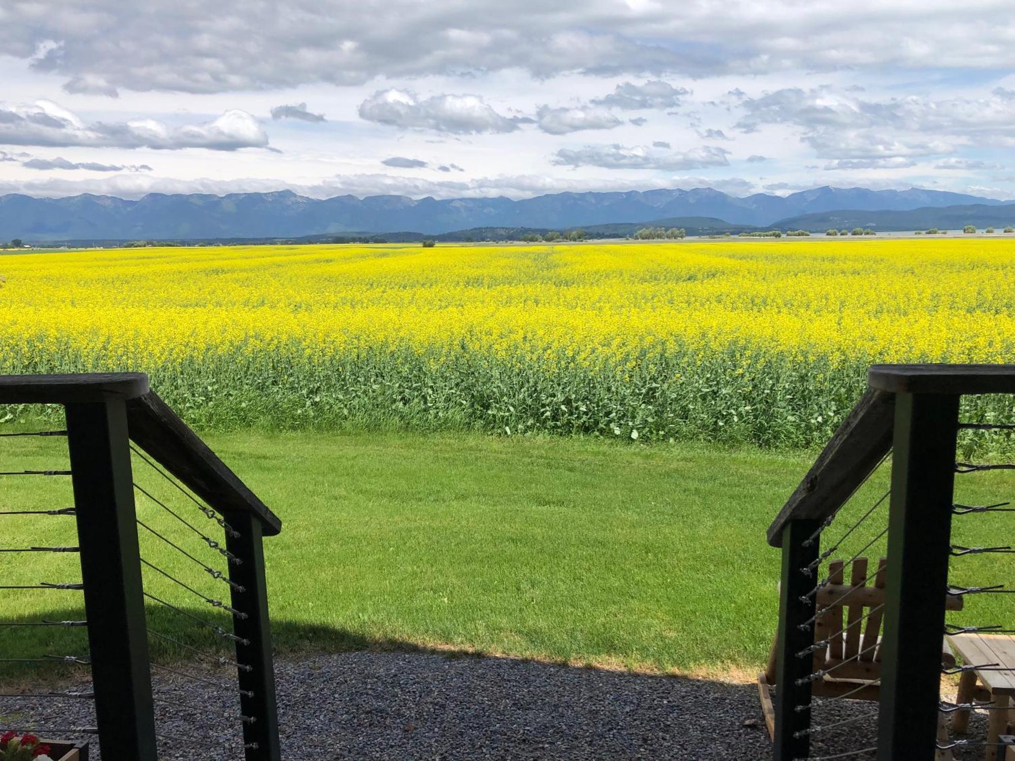 New Cabin With Spectacular Views Of Flathead Lake. Somers Buitenkant foto