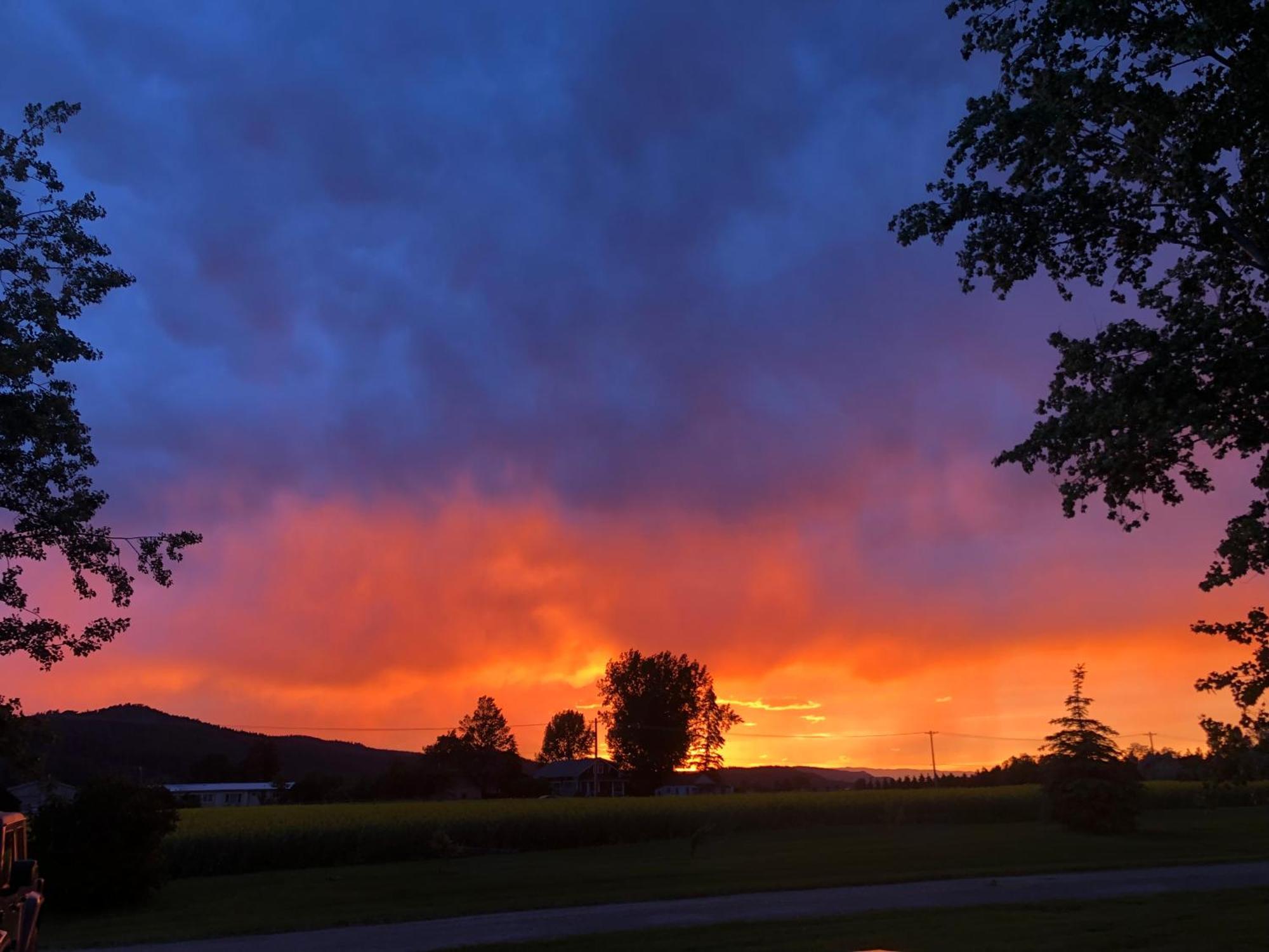New Cabin With Spectacular Views Of Flathead Lake. Somers Buitenkant foto